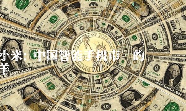 小米 中国智能手机市场的领头羊