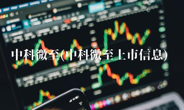 中科微至(中科微至上市信息)