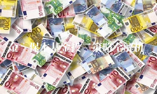 金鹰保本基金投资策略全解析