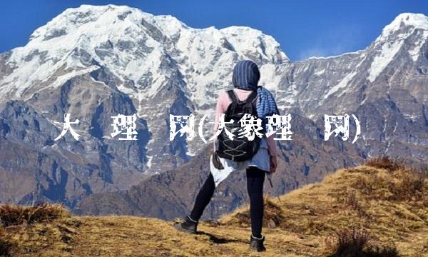 大众理财网(大象理财网)