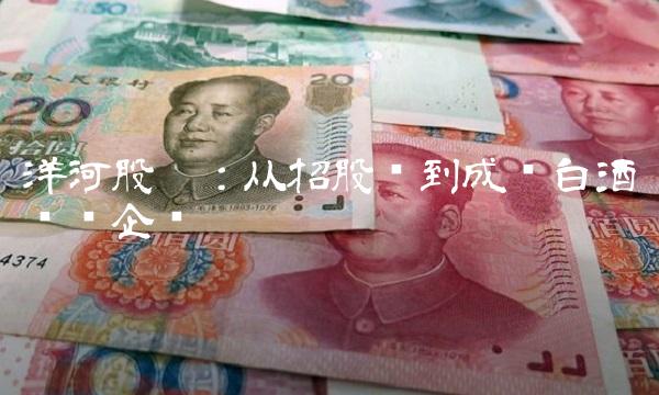 洋河股份：从招股书到成为白酒龙头企业