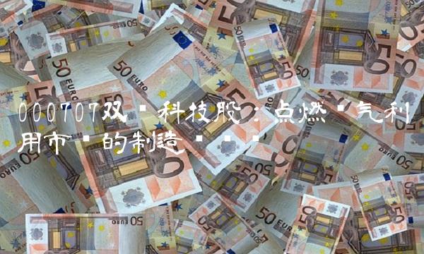 000707双环科技股：点燃废气利用市场的制造业龙头