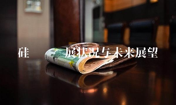 沪硅产业发展状况与未来展望