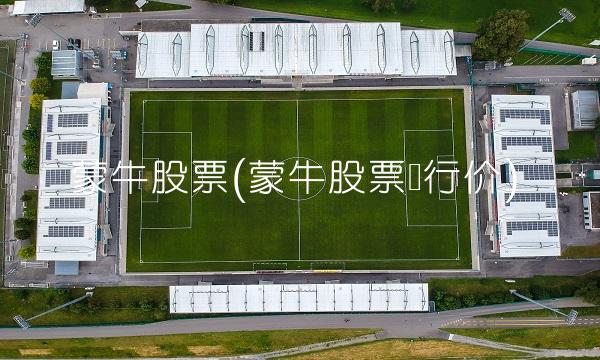 蒙牛股票(蒙牛股票发行价)