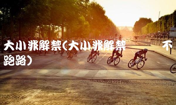 大小非解禁(大小非解禁机构会不会跑路)