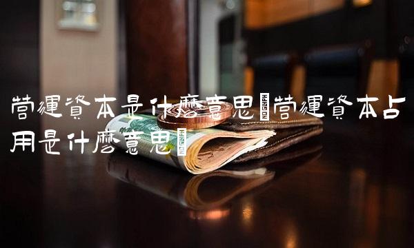 营运资本是什么意思(营运资本占用是什么意思)