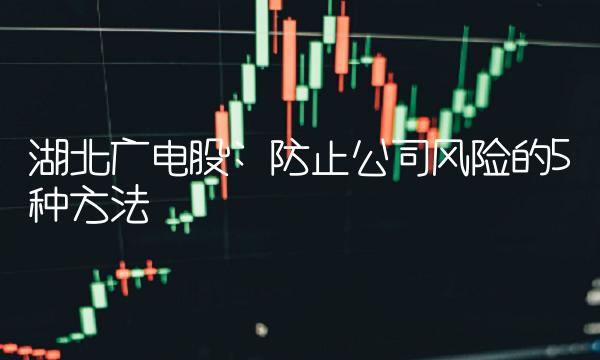 湖北广电股 防止公司风险的5种方法