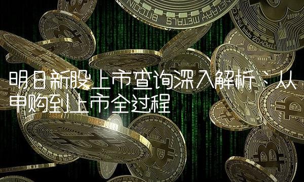 明日新股上市查询深入解析：从申购到上市全过程