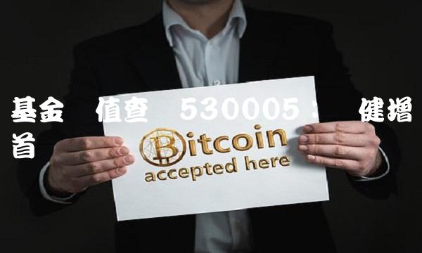 基金净值查询530005：稳健增长首选