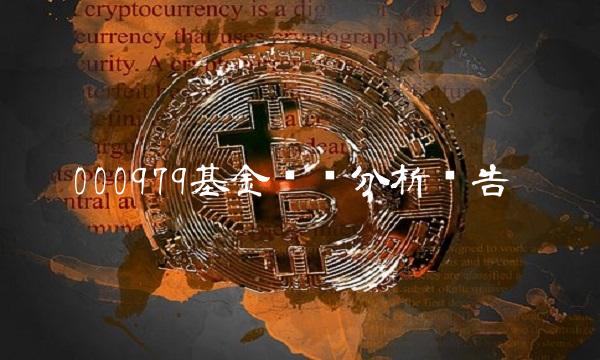 000979基金净值分析报告