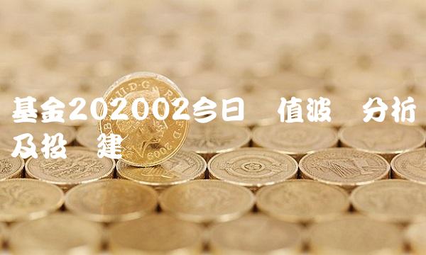 基金202002今日净值波动分析及投资建议