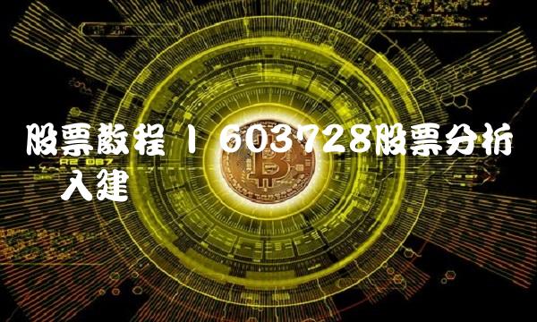 股票教程 603728股票分析与买入建议
