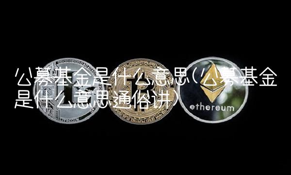 公募基金是什么意思(公募基金是什么意思通俗讲)