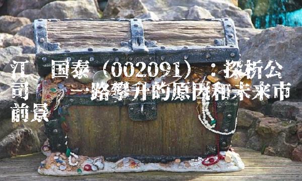 江苏国泰（002091）：探析公司业绩一路攀升的原因和未来市场前景