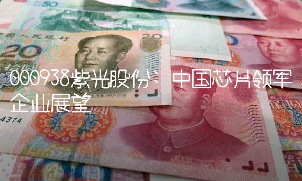 000938紫光股份 中国芯片领军企业展望