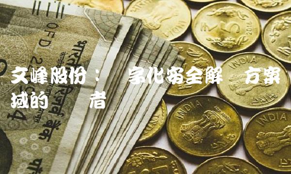 文峰股份：数字化安全解决方案领域的领军者