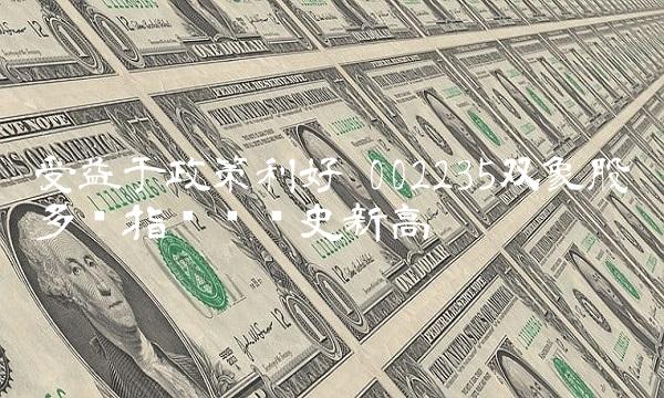 受益于政策利好 002235双象股份多项指标创历史新高