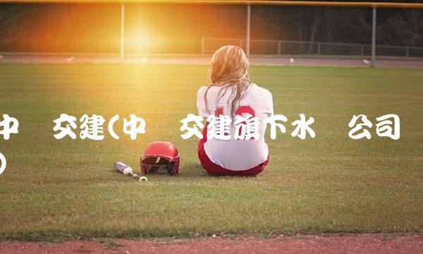 中国交建(中国交建旗下水电公司)