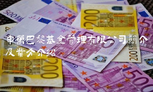 申万巴黎基金管理有限公司简介及业务介绍