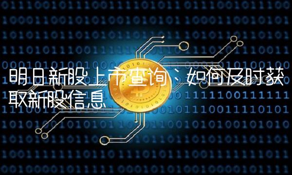 明日新股上市查询：如何及时获取新股信息