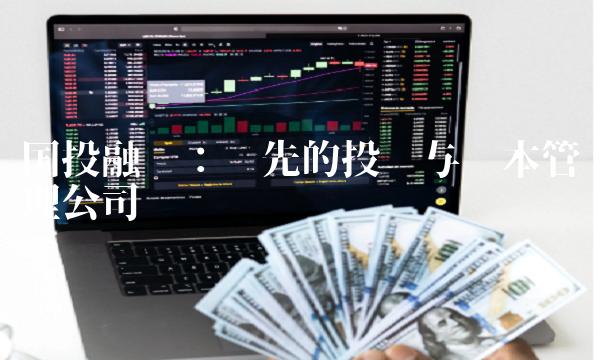 国投融华：领先的投资与资本管理公司