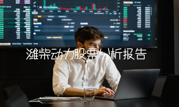 潍柴动力股票分析报告