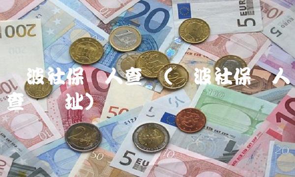 宁波社保个人查询(宁波社保个人查询网址)