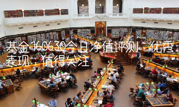 基金160630今日净值评测：优秀表现，值得关注