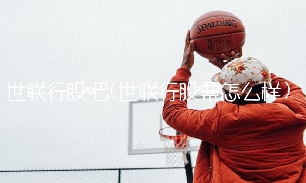 世联行股吧(世联行股票怎么样)