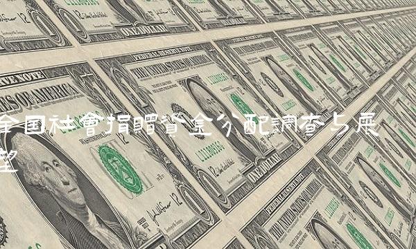 全国社会捐赠资金分配调查与展望