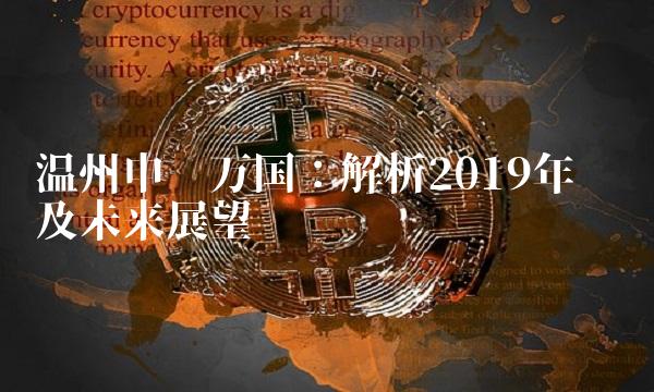 温州申银万国：解析2019年财报及未来展望