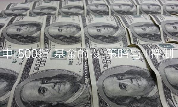 中证500指数基金的投资策略与风险控制
