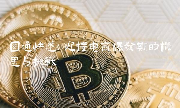 圆通快递：迎接电商爆发期的机遇与挑战