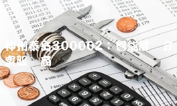 神州泰岳300002：智能解决方案服务商