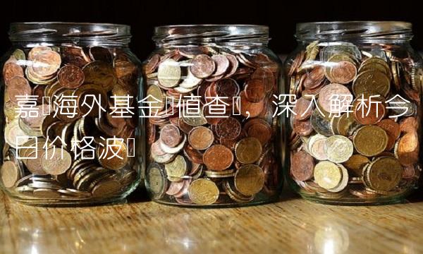 嘉实海外基金净值查询，深入解析今日价格波动