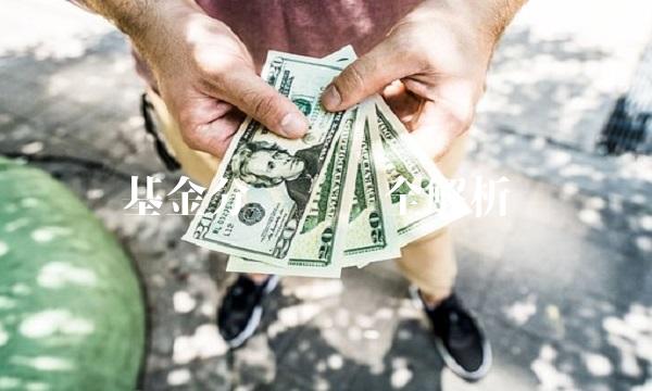 基金分红查询全解析