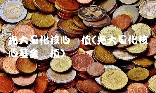 光大量化核心净值(光大量化核心基金净值)