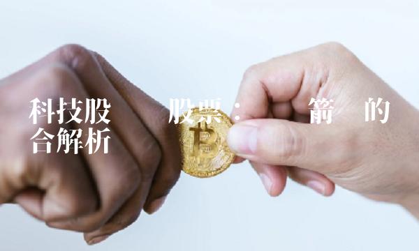 科技股龙头股票：领军箭头的综合解析