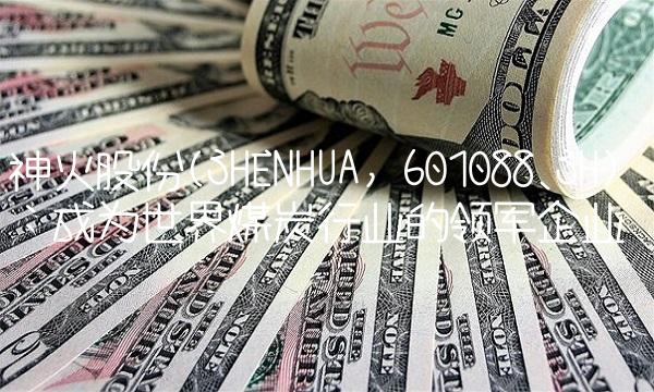 神火股份(SHENHUA, 601088.SH)：成为世界煤炭行业的领军企业