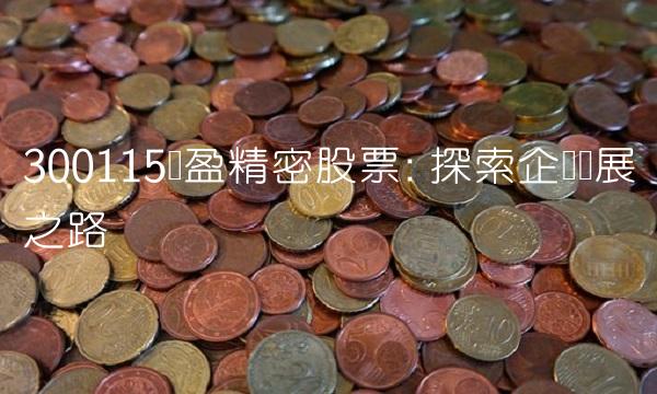300115长盈精密股票 探索企业发展之路