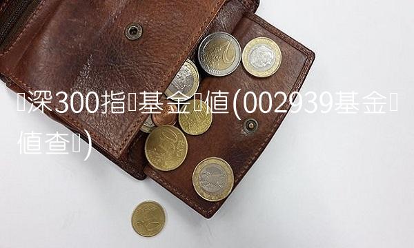 沪深300指数基金净值(002939基金净值查询)