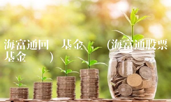 海富通回报基金净值(海富通股票基金净值)