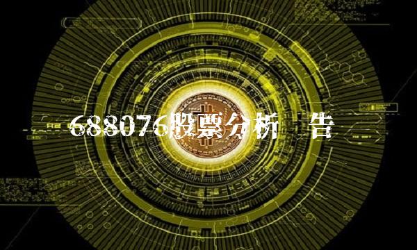 688076股票分析报告
