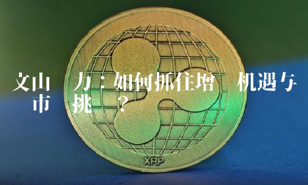 文山电力：如何抓住增长机遇与应对市场挑战？