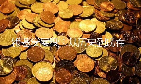 银基发展股：从历史到现在