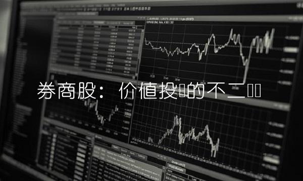 券商股：价值投资的不二选择