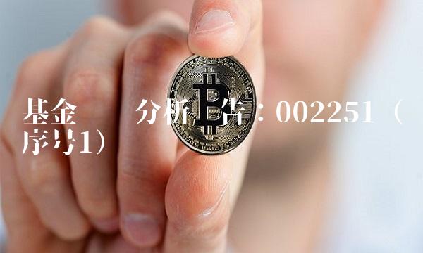 基金净值分析报告：002251（序号1）