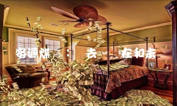 安源煤业：过去、现在和未来