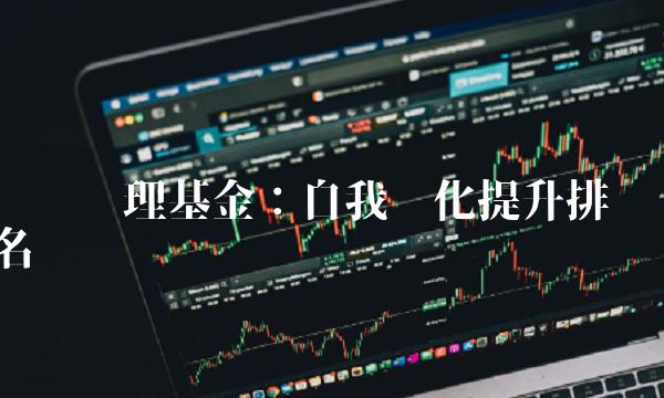 农银汇理基金：自我优化提升排名