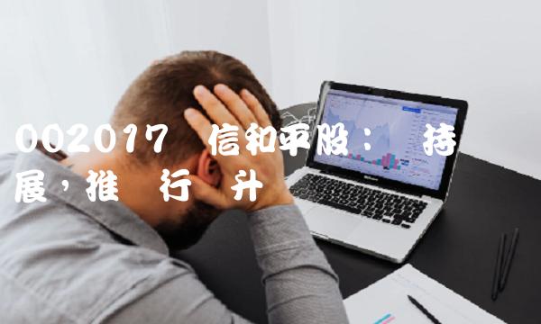 002017东信和平股：坚持专业发展，推动行业升级